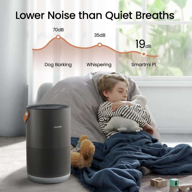 Air Purifiers for Home, Works with Homekit Alexa, Smart Air Purifier with Handle, Auto Mode, 19Db, 0.08 Μm Particles Captured, P1 Dark Grey
