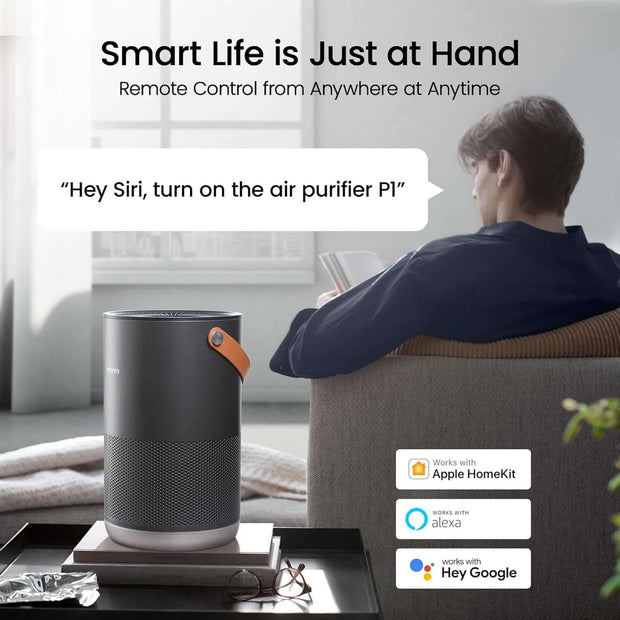 Air Purifiers for Home, Works with Homekit Alexa, Smart Air Purifier with Handle, Auto Mode, 19Db, 0.08 Μm Particles Captured, P1 Dark Grey