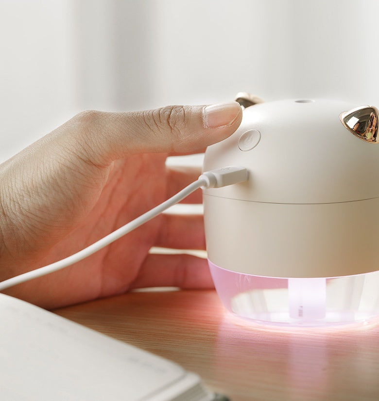 Angel Devil Humidifier