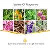 10ml Lavender Green Tea Plant Essential Oil Natural Aromatherapy Fragrance Humidifier Water Soluble Massage Essential Oil